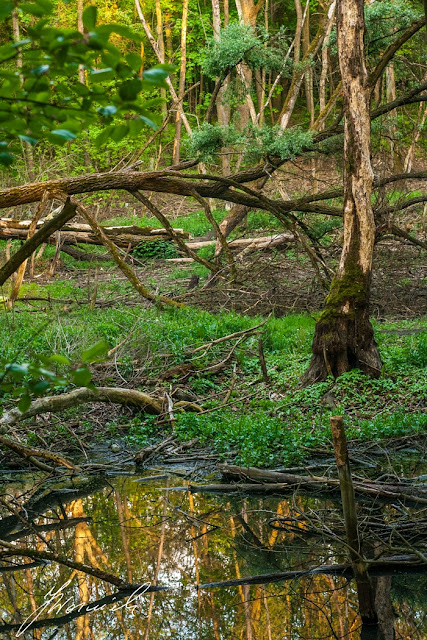 fotografia Sulejówek