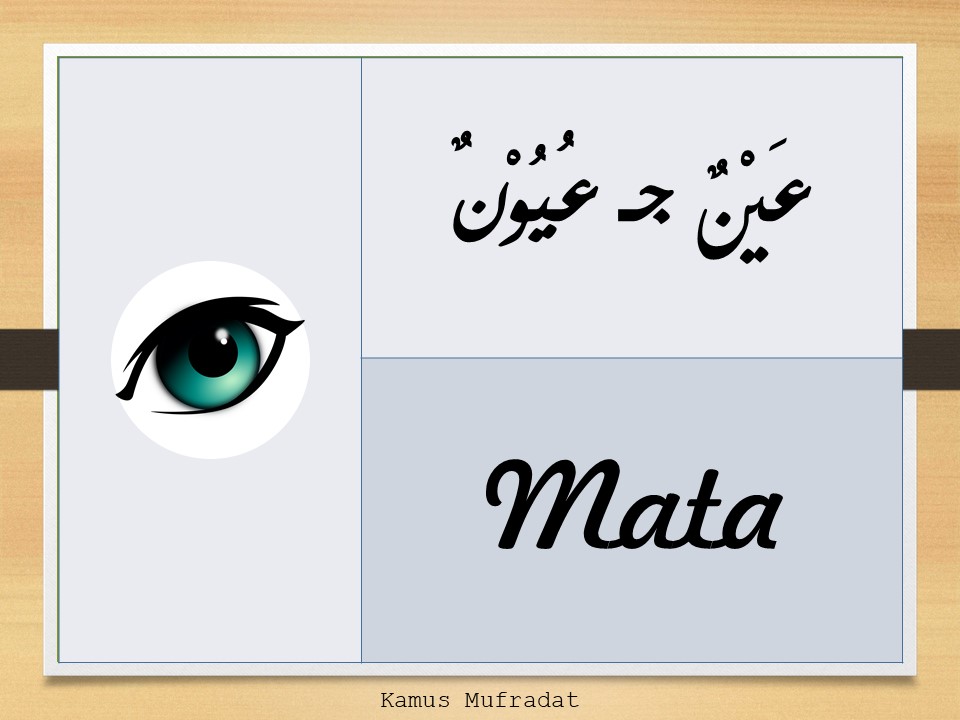  Bahasa  Arab  Nama Nama Anggota  Tubuh  Kamus Mufradat