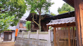 人文研究見聞録：佐古岡神社 ［愛媛県］