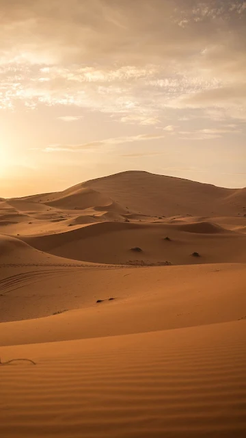 Deserto, Areia, Dunas, Sol