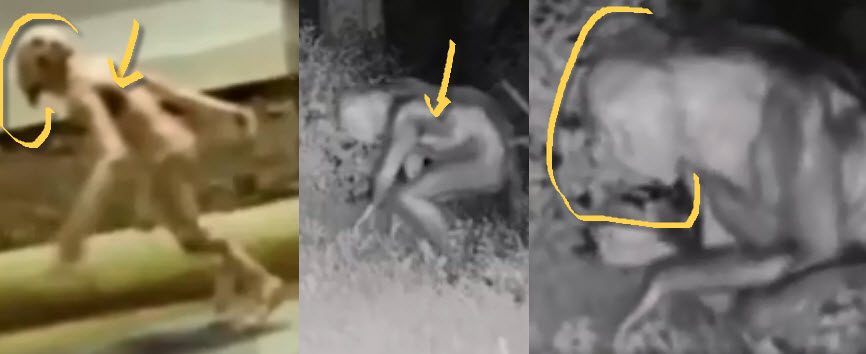 Creepy aliens real? Check this video I put together and will review on CAM this week.