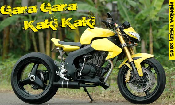  tiger modifikasi tiger modifikasi touring honda tiger modifikasi title=