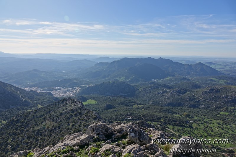 Caillo - Cintillo desde Benaocaz