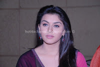 Hansika motwani gallery showing hot cleavage