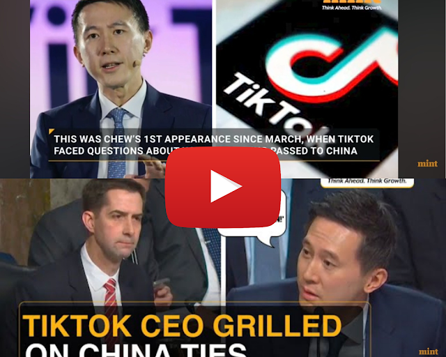 Tiktok CEO Grilled Over China Ties By US Senator, Repeats He's Singaporean | Viral Video