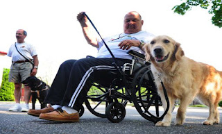 Service and therapy dogs