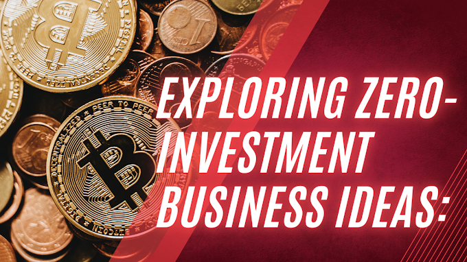 Exploring Zero-Investment Business Ideas