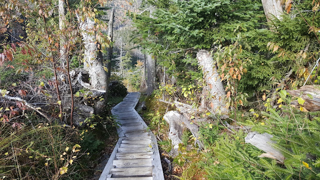 Sentier de retour du mont Saddleback