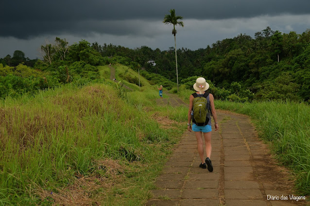 Ubud - O que visitar