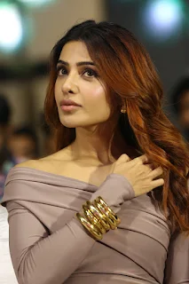 Actress Samantha Stills at Jigra Movie Pre Release
