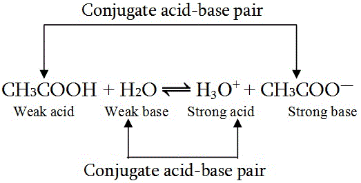 conjugate acid-base pair Class12 ionic equillibrium notes