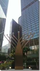 IMAG0390