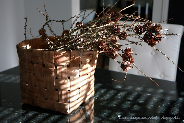 birk bark basket full of larch branches