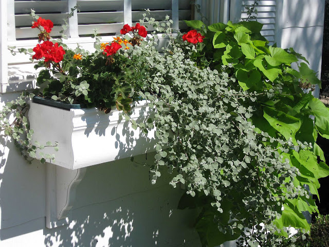 Flower-Box