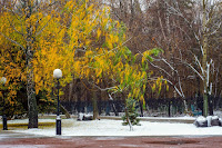 Поздняя осень