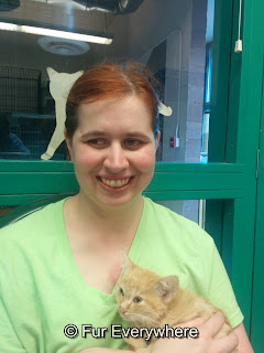 I'm holding Popsicle, an orange kitten, at Cat Care Society.