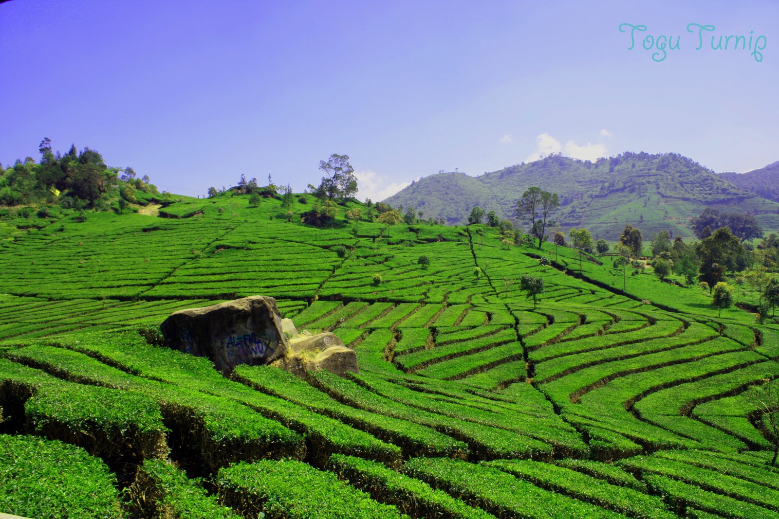  pemandangan  paling indah  Foto  Dunia Alam  Semesta INDONESIA