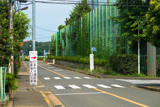 ひまわり畑臨時駐車場の案内板