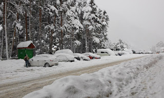 Coches aparcados cubiertos de nieve