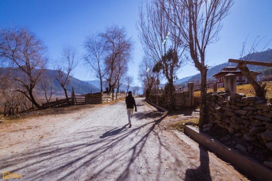 Bukit Phobjikha bhutan