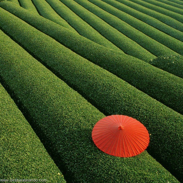 landscapes-paisagens-desbaratinando (3)