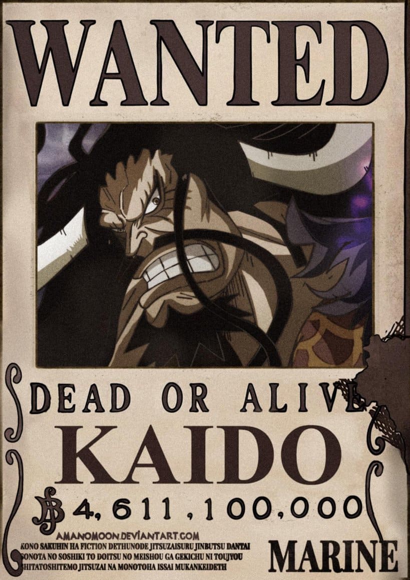 One Piece 四皇 百獣のカイドウ Kaido