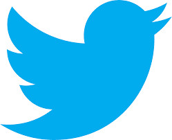 Bug en twitter permite filtrar miles de videos privados