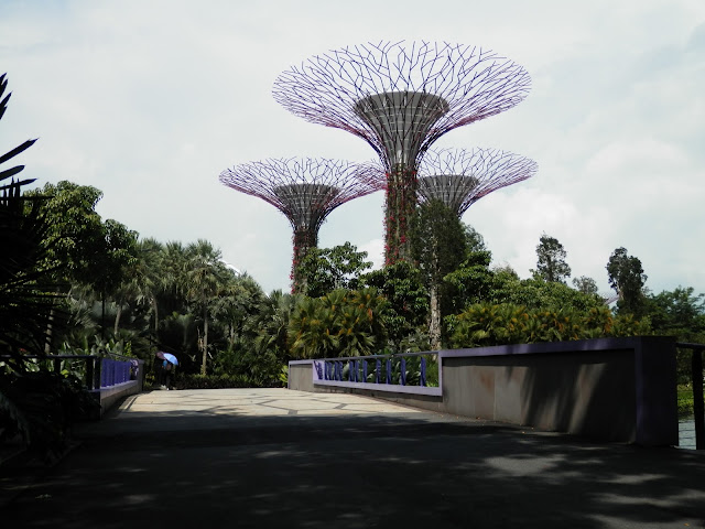 visite de Gardens by the Bay Singapour