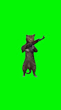 Cat Shooting Machine Gun Meme Green Screen
