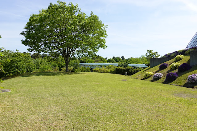 鳥取県西伯郡南部町鶴田 とっとり花回廊 プロムナード橋からの眺望