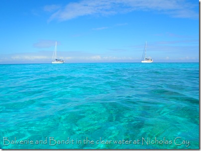 Balvenie and Bandit, Nicholas Cay Balvenie and Bandit, Nicholas Cay