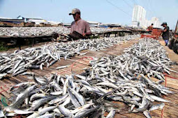 Kanker Mengintai di Balik Kenikmatan Ikan Asin