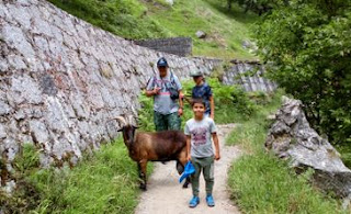 Parque Natural de los Picos de Europa. Ruta del Cares.