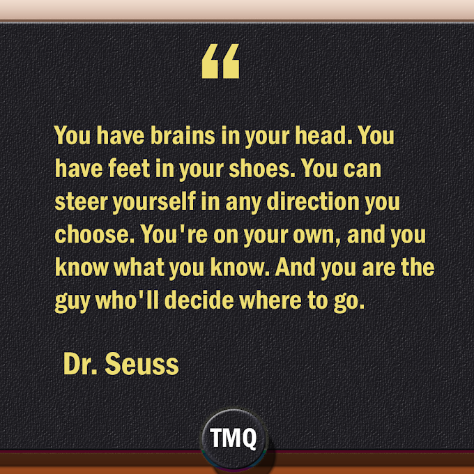 Steer Yourself In Any Direction By Dr Seuss (Best Motivational )