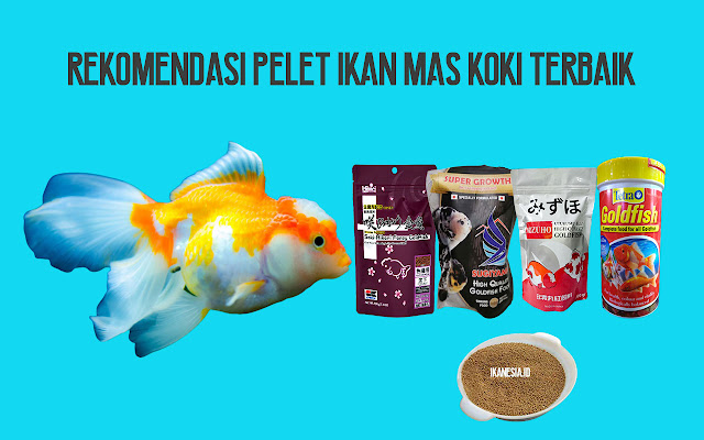 Makanan Ikan Mas Koki