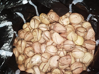 Picture of Kolanut (Obi)