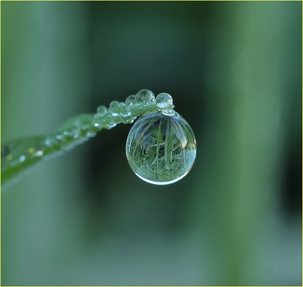 Awesome Rain drops