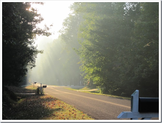 September 2010 444