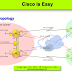 Lesson 36 - Routing Information Protocol Part2