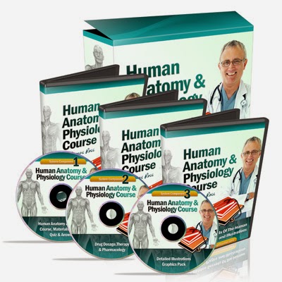 Download Video Human Anatomy And Physiology Study Course