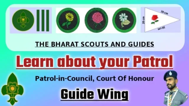 Learn-about-your-Patrol-patrol-in-council