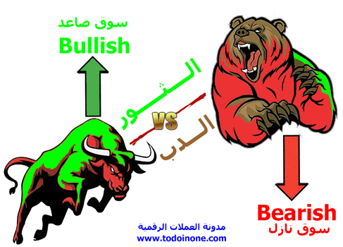 معنى الدببة Bears والثيران Bulls 