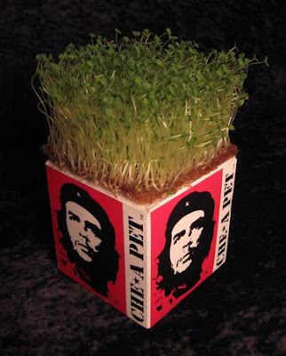 Che-a-pet: Che Guevara Chia pet. The Wine Monkey: