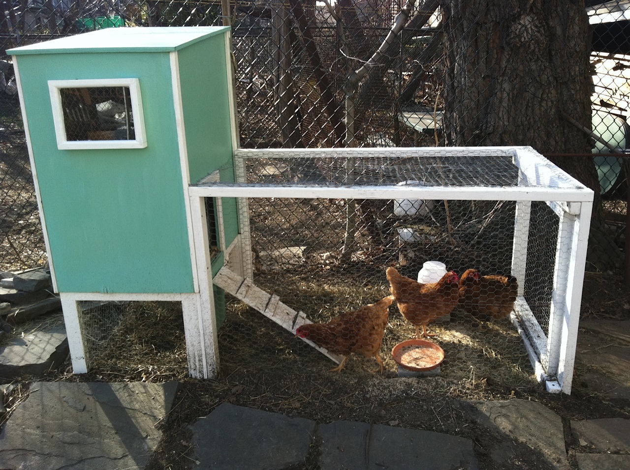 Chicken , New York City’s premier provider of backyard chicken coops ...