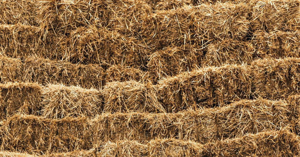 How to Cut and Bale Hay by Hand - Oak Hill Homestead