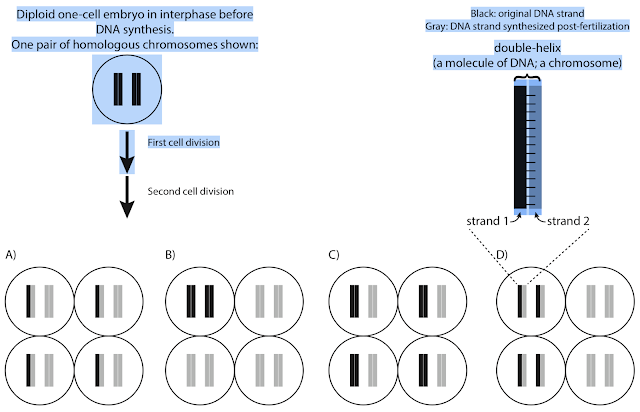 Exam containing inaccessible graphics