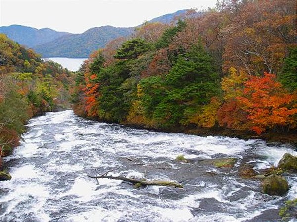 http://www.funmag.org/pictures-mag/flowers/fantastic-autumn-in-japan/