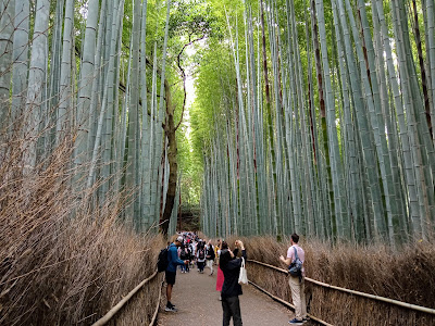 bosque bambu kioto