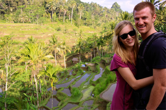 bali rice paddies