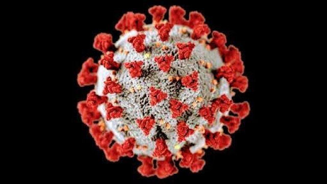 O vírus tem uma forma de coroa  vista no microscópio eletrônico.  A  doença causada por esse vírus foi denominada de coronavírus que recebeu o nome de covid-19 a atual pandemia mundial do século XXI.